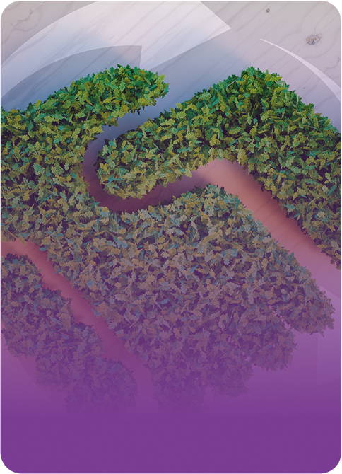 Comprehensive Talent Management